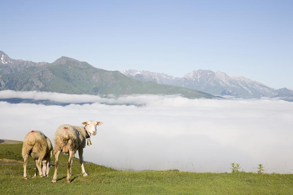 Hotel Le Viscos Saint-Savin  Екстер'єр фото